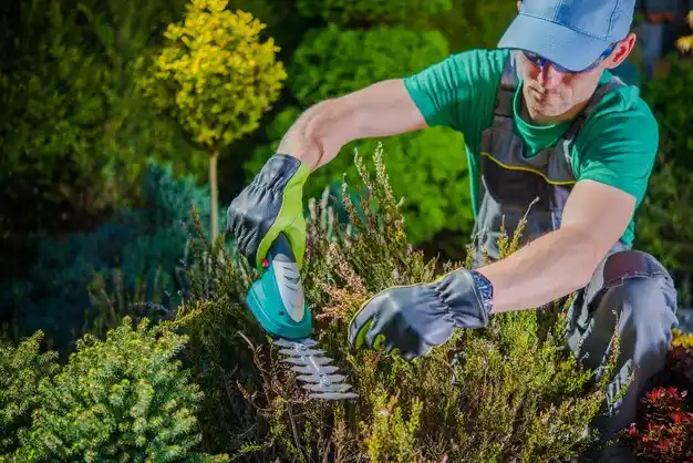 landscaping services Port Huron